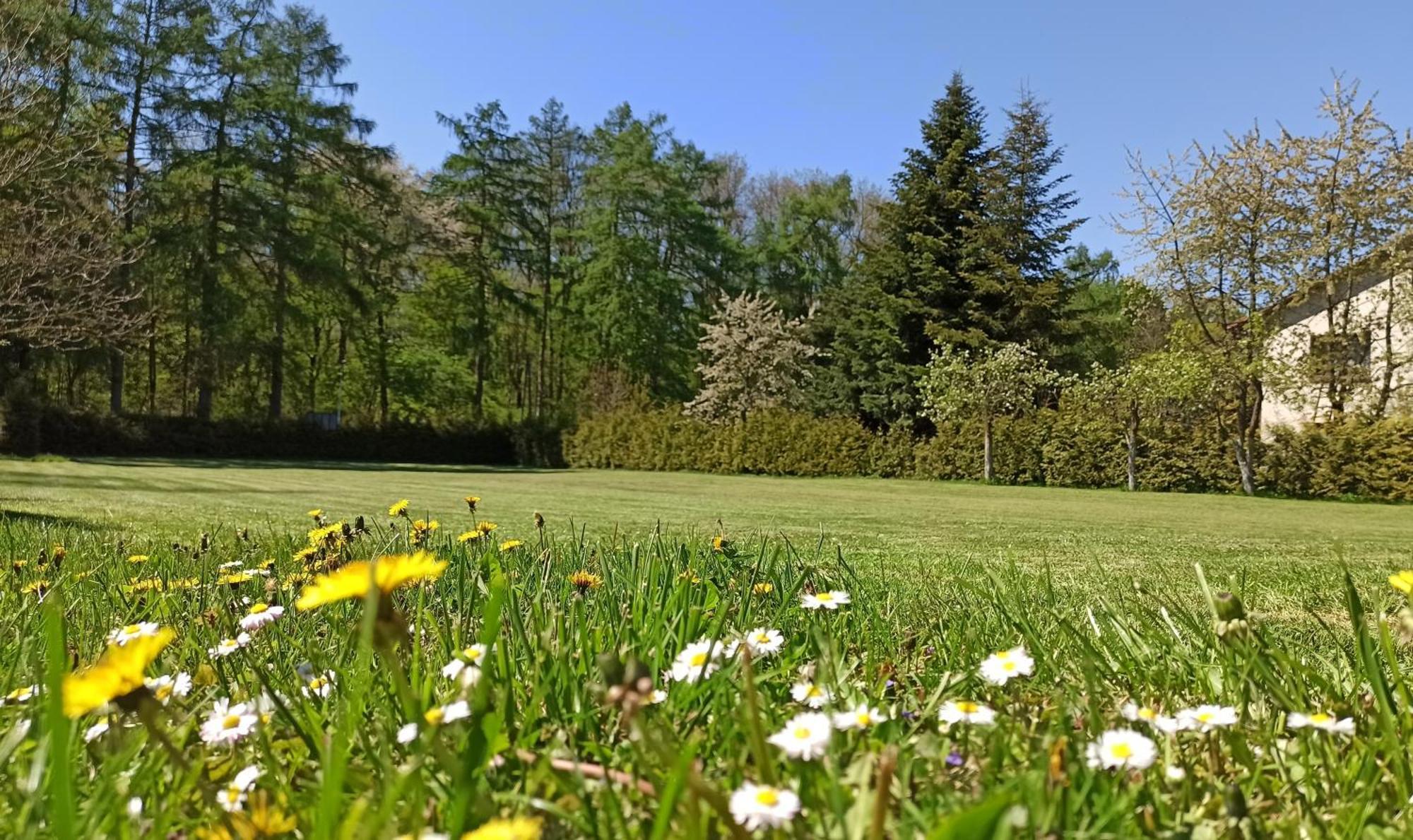Pokoje Goscinne Stokrotka Nałęczów Exterior foto